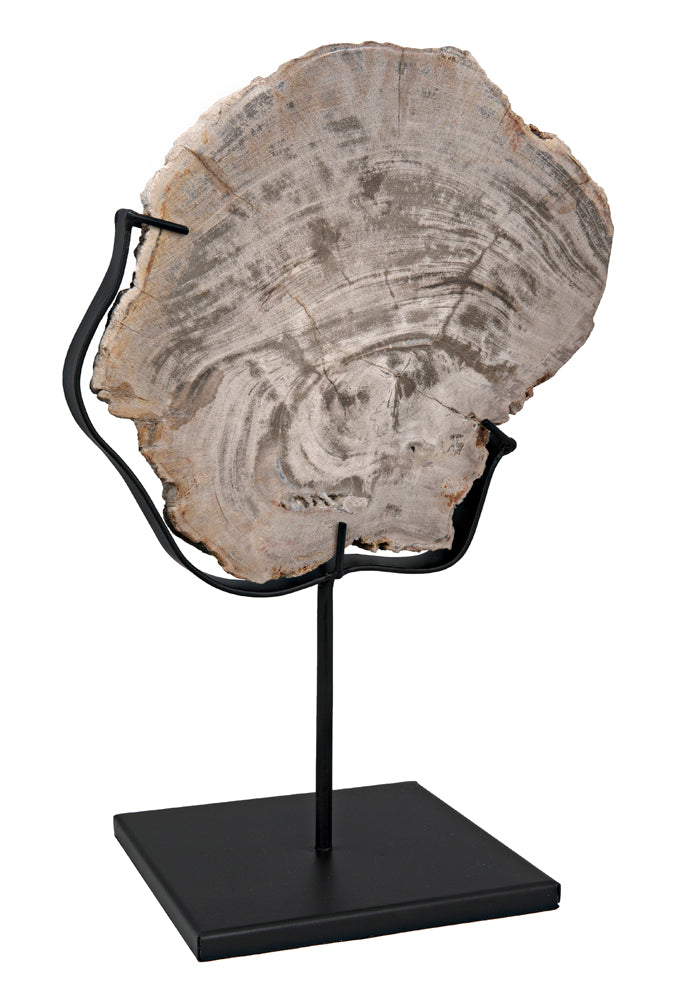 WOOD FOSSIL WITH STAND | OBJECTS