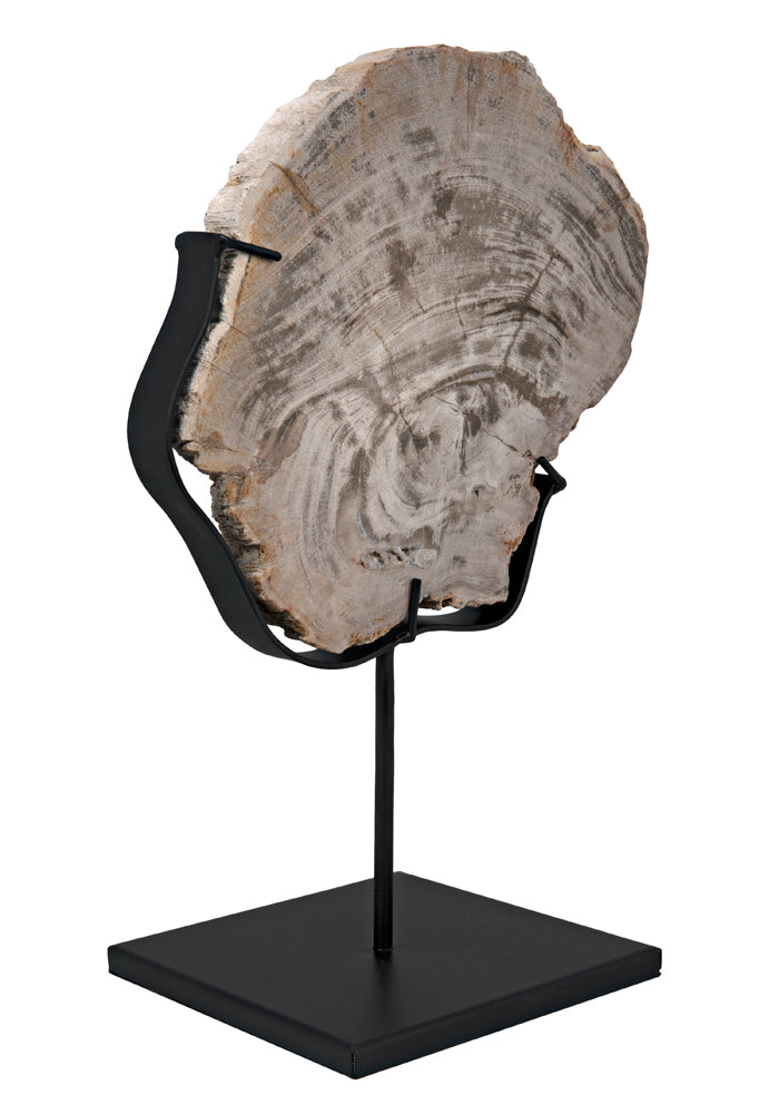 WOOD FOSSIL WITH STAND | OBJECTS