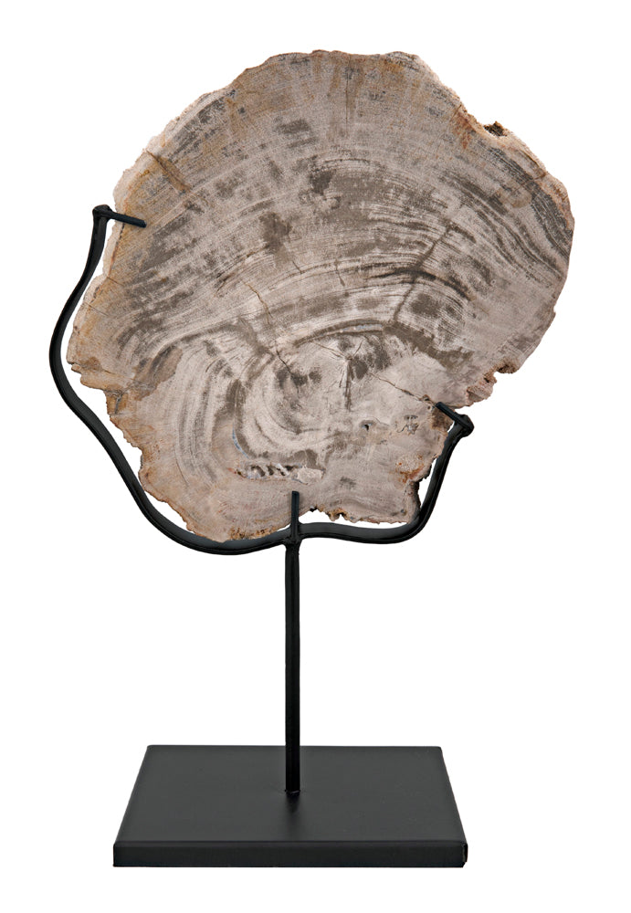 WOOD FOSSIL WITH STAND | OBJECTS