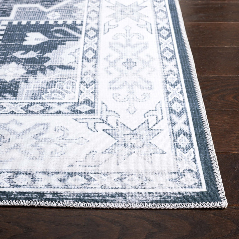 ALDROVANDINI | RUGS