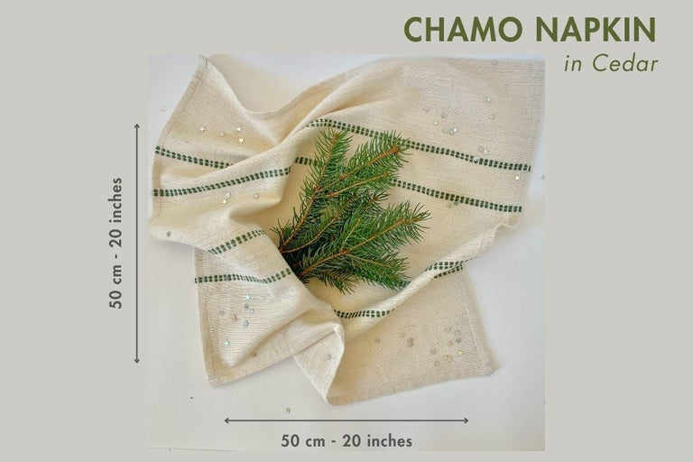 CHAMO HANDWOVEN ETHIOPIAN COTTON NAPKINS | SET OF 2 | ENTERTAINING