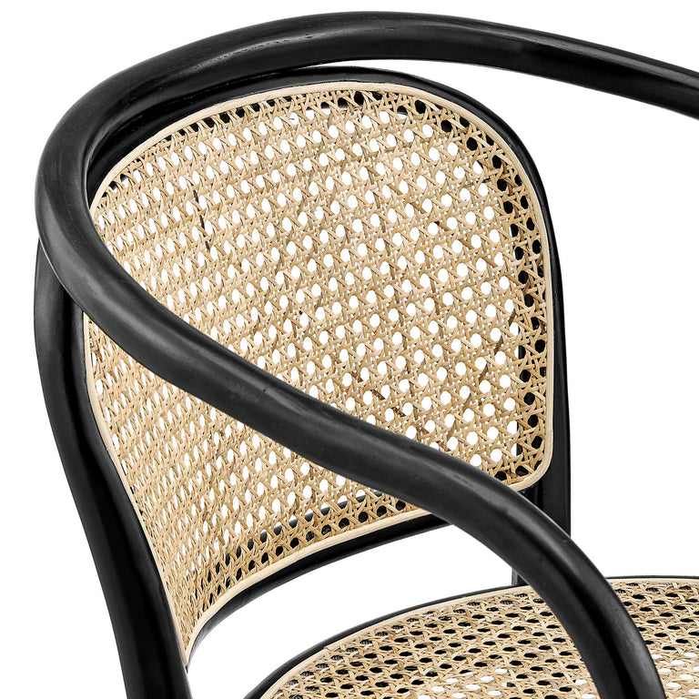 OLIANA DINING CHAIRS | BAR AND DINING