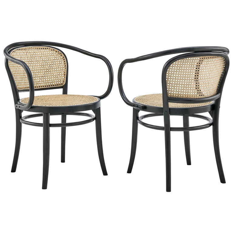 OLIANA DINING CHAIRS | BAR AND DINING