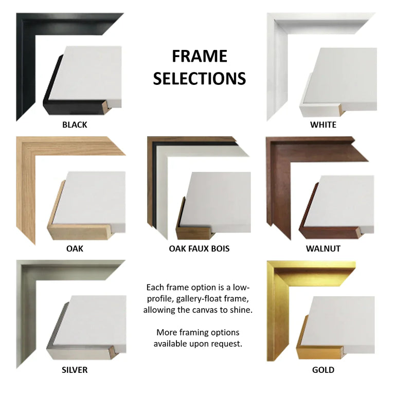 frame options