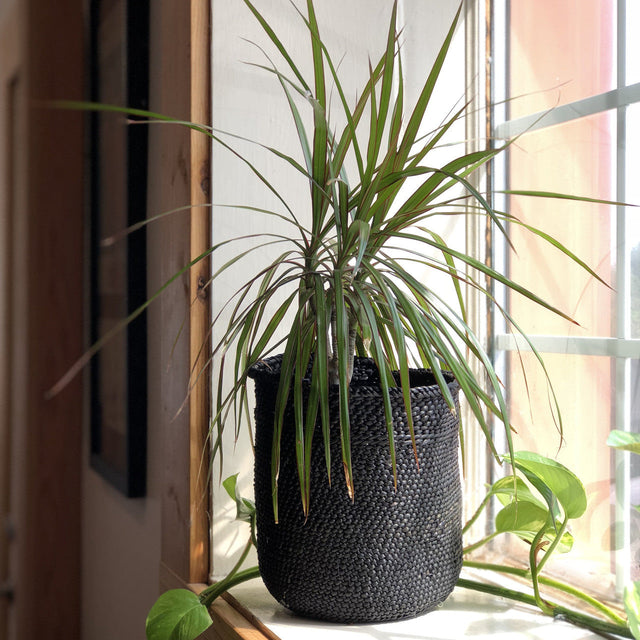 Rich Black Iringa Baskets | BASKETS