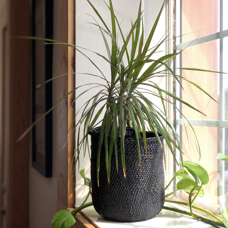 Rich Black Iringa Baskets | BASKETS