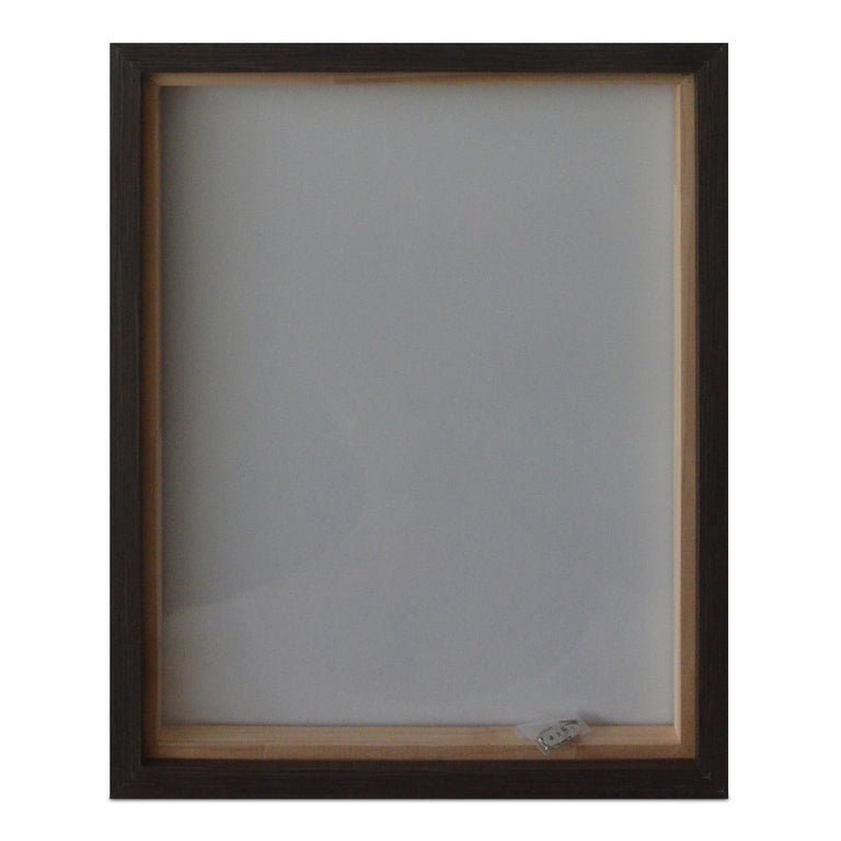 INTREPID FRAMED PAINTING