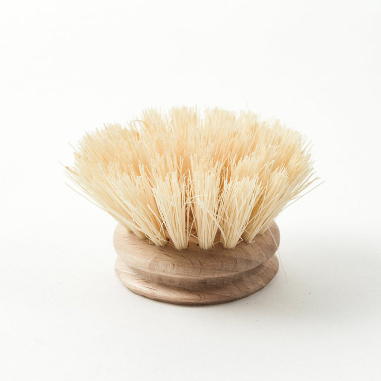 ANDREE JARDIN HANDLED DISH BRUSH REFILLS - HEAD ONLY / NO HANDLE MIN 12 | KITCHEN STORAGE AND ORGANIZATION