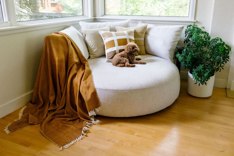 MECHOT HANDWOVEN ETHIOPIAN COTTON THROW BLANKET | THROWS