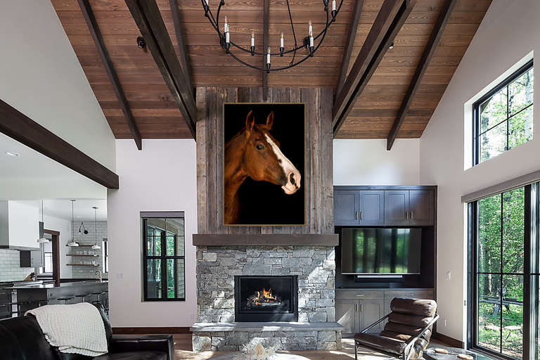 Portrait of Horse III by Adam Mowery | stretched canvas wall art