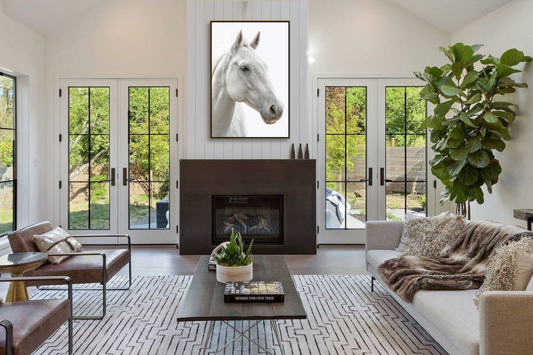 White Steed by Adam Mowery | stretched canvas wall art