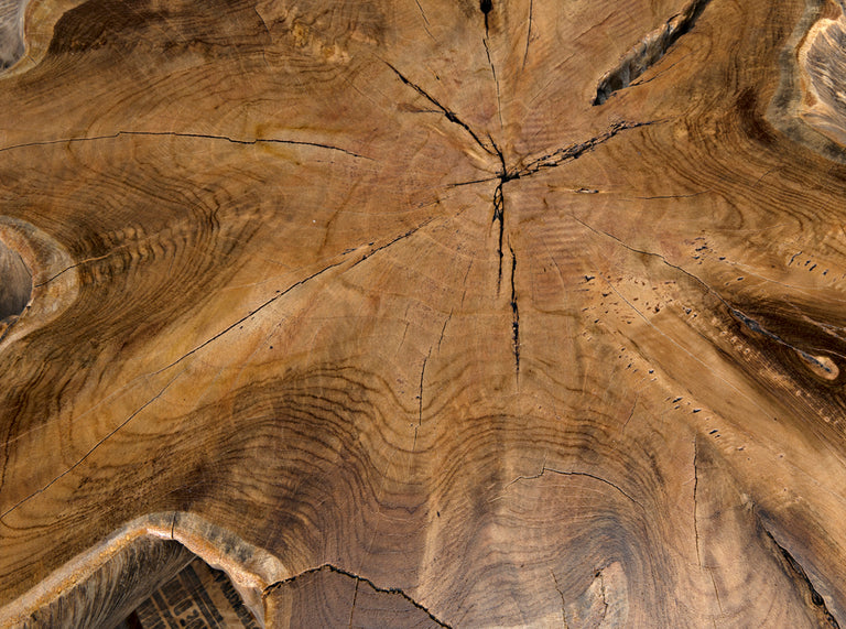 TEAK ROOT COFFEE TABLE | TABLE