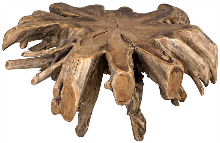 TEAK ROOT COFFEE TABLE | TABLE