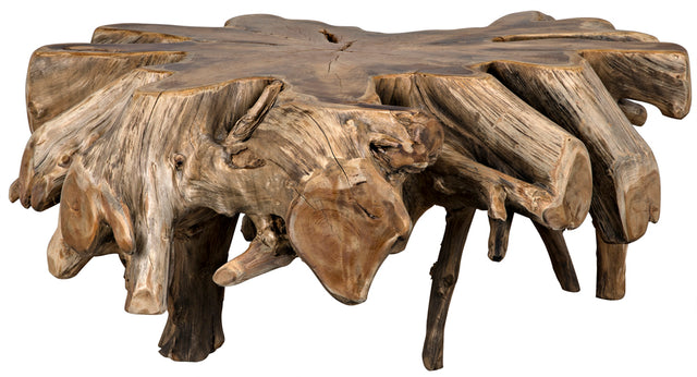 TEAK ROOT COFFEE TABLE | TABLE