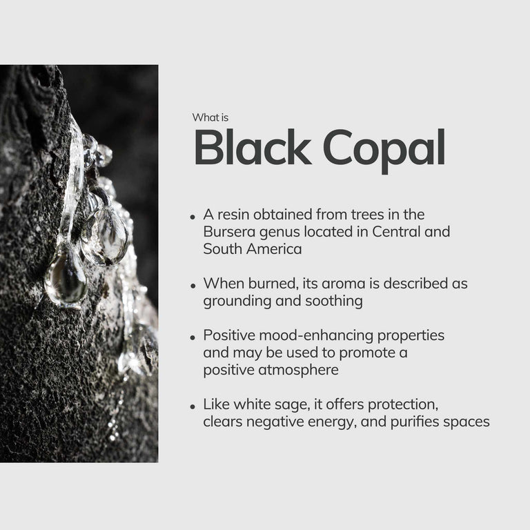 Black Copal Incense Sticks 