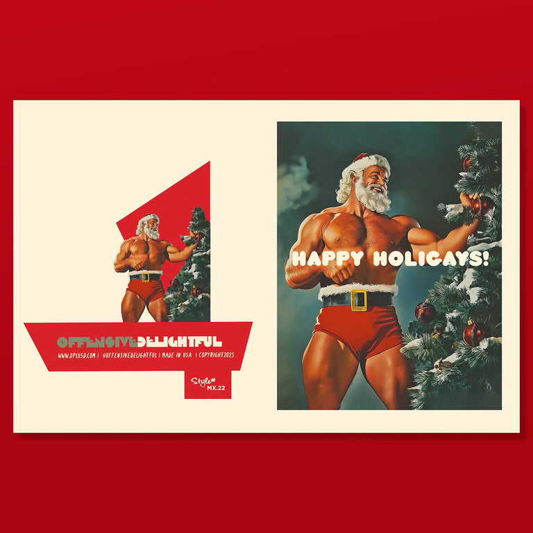 HOLIGAYS! gay, funny christmas card