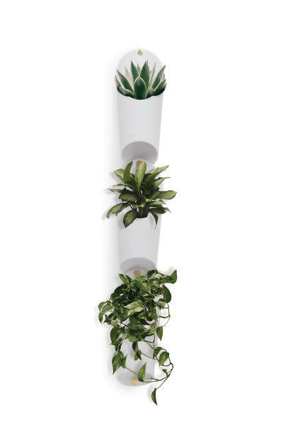 FLORALINK WALL VESSEL | FLORA | STAG & MANOR
