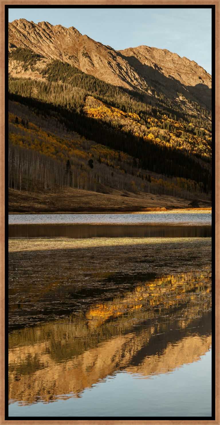 Golden Aspens in Autumn I by Adam Mowery | wall art stretched canvas
