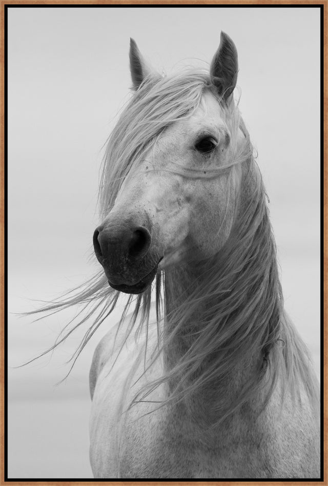 Portrait of Purity by Jennifer King and Randy Wilson | wall art stretched canvas