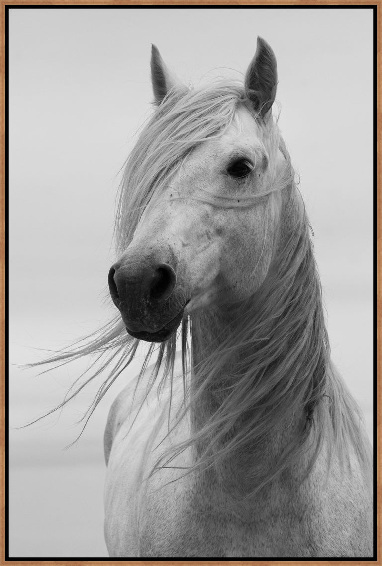Portrait of Purity by Jennifer King and Randy Wilson | wall art stretched canvas
