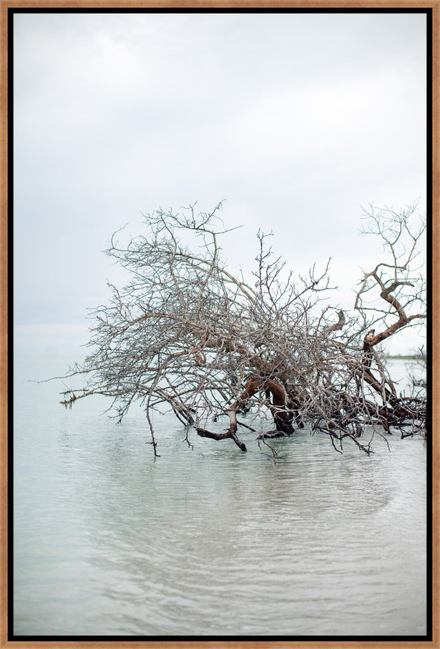 Floating Vibes by Hampton + Dunes | wall art stretched canvas