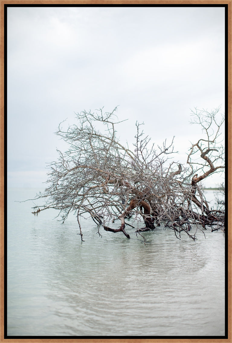 Floating Vibes by Hampton + Dunes | wall art stretched canvas