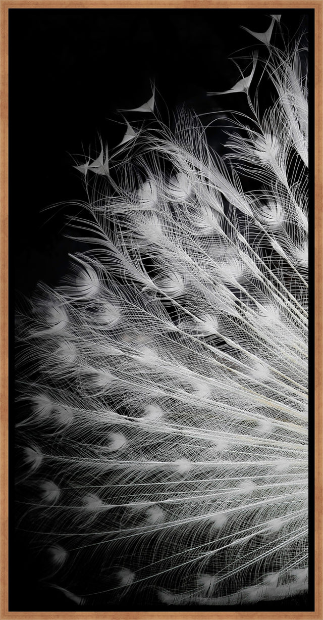 Black and White II by Pino Liddi | wall art stretched canvas