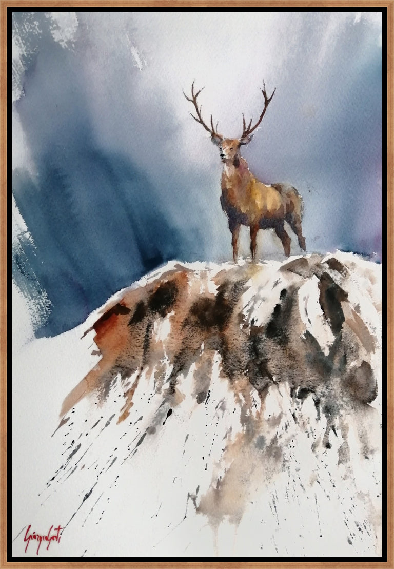 Deer IV by Giorgio Gosti | wall art stretched canvas