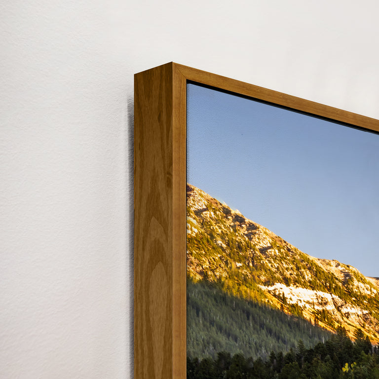 framed art canvas corner detail