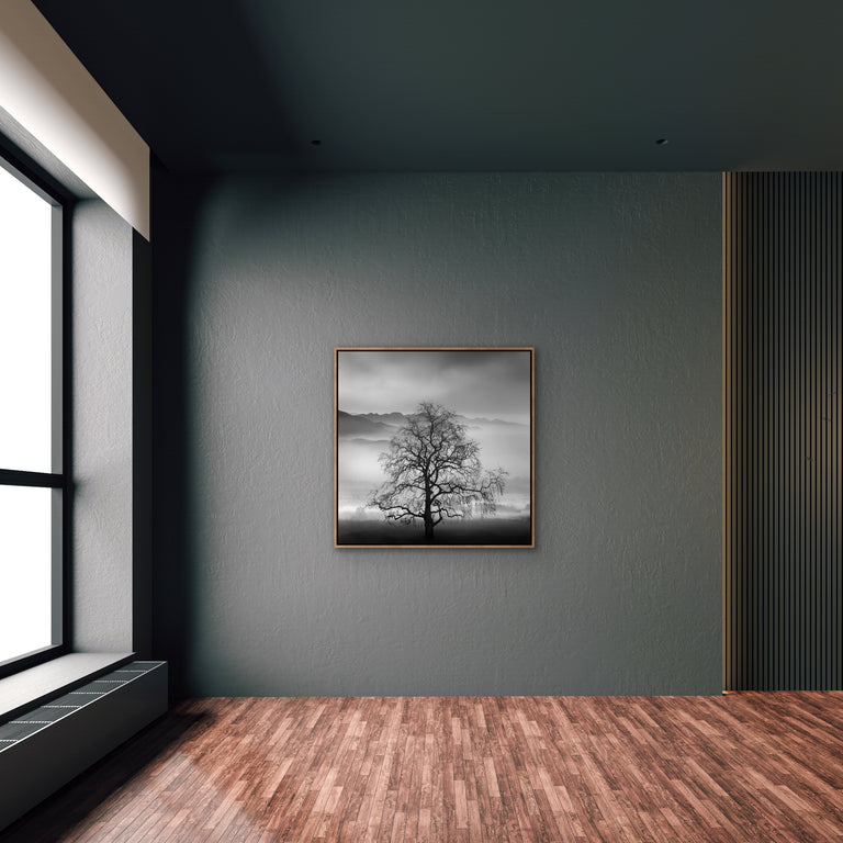 Poetry of Silence by George Digalakis | wall art stretched canvas