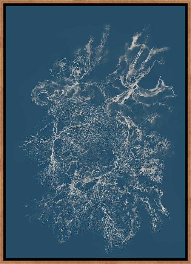 Reef Radiance III by Maelani Blue | wall art stretched canvas