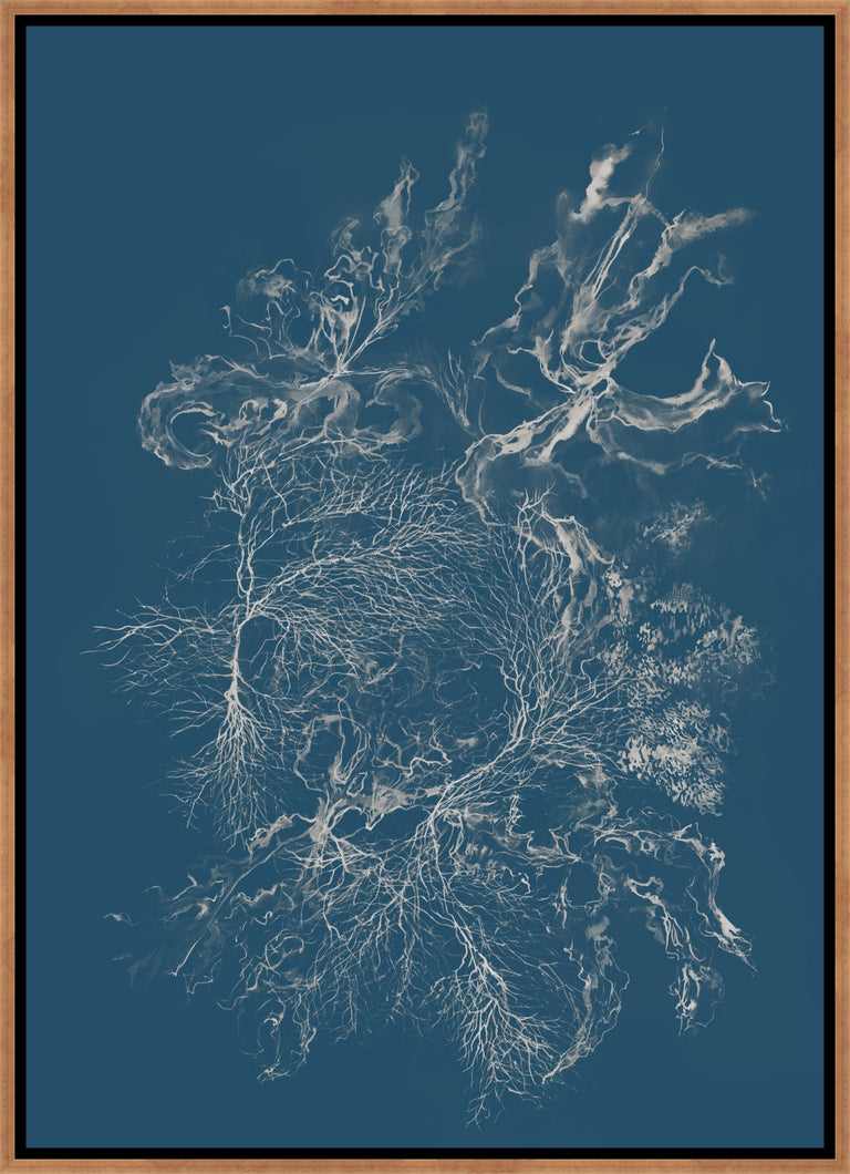 Reef Radiance III by Maelani Blue | wall art stretched canvas