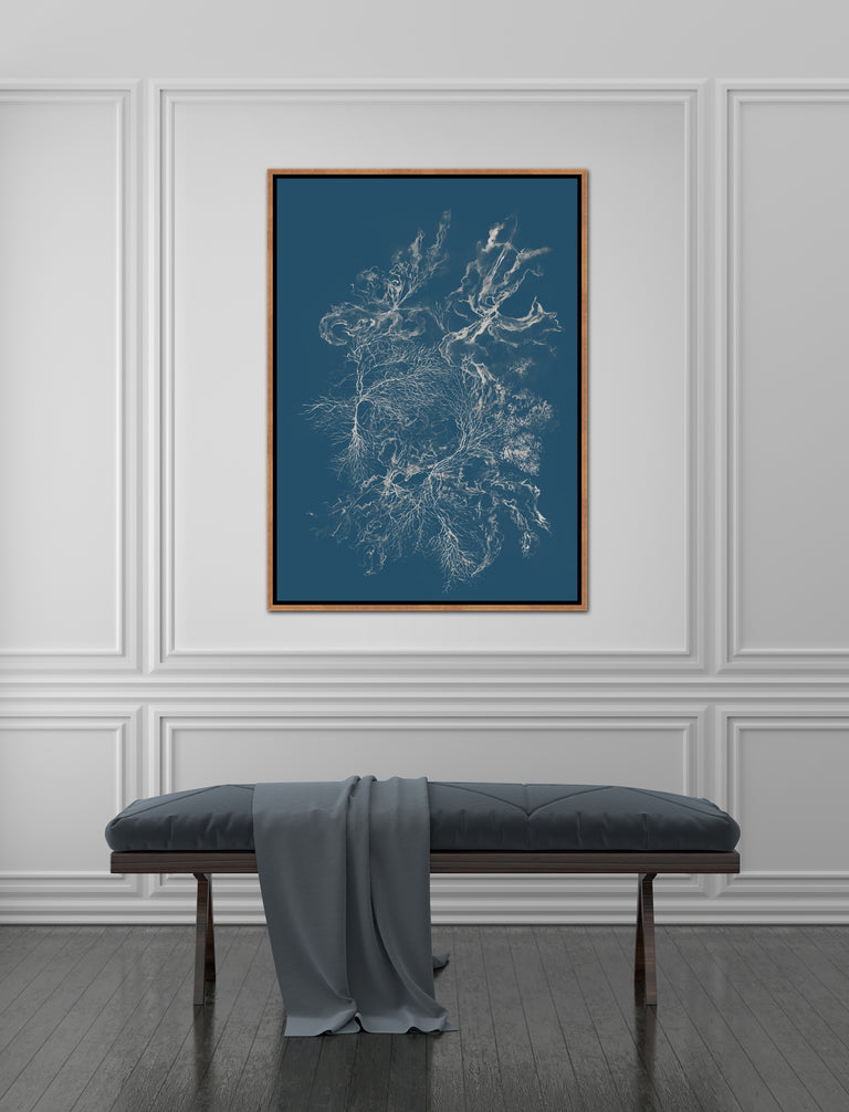 Reef Radiance III by Maelani Blue | wall art stretched canvas