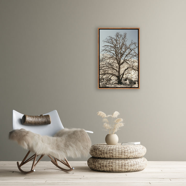 California I by Adam Mowery | wall art stretched canvas