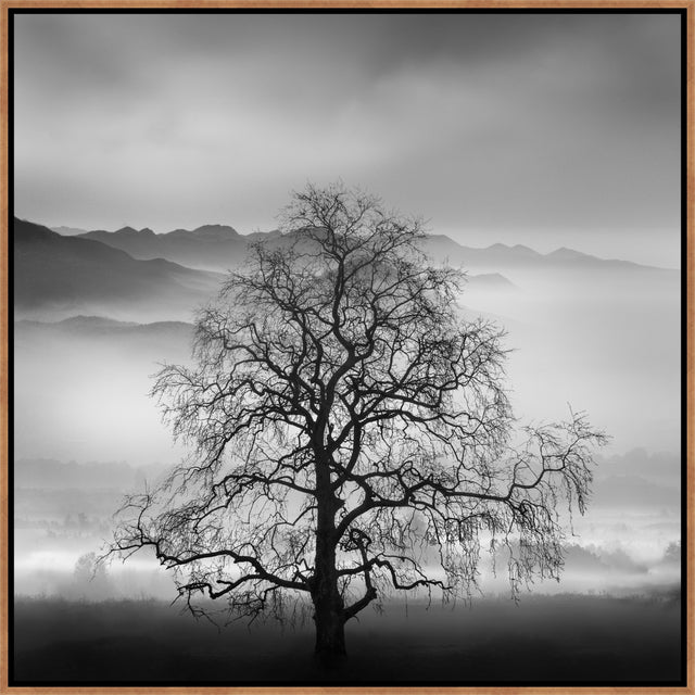 Poetry of Silence by George Digalakis | wall art stretched canvas