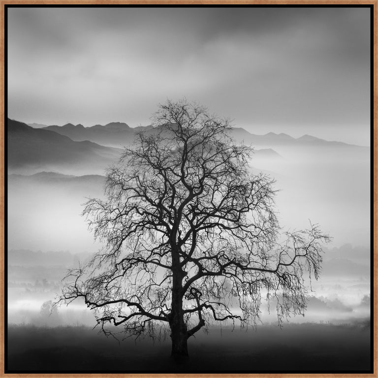 Poetry of Silence by George Digalakis | wall art stretched canvas