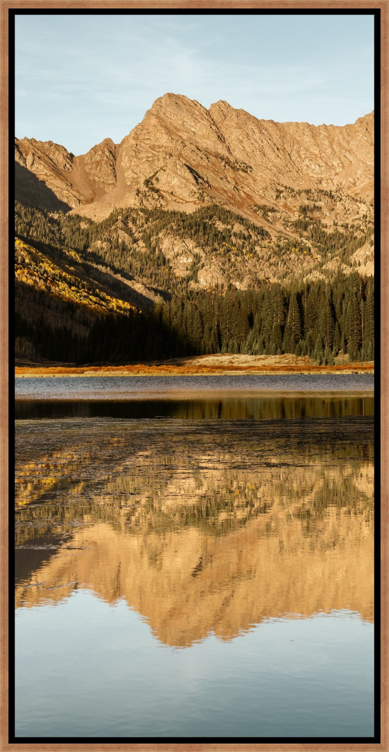 Golden Aspens in Autumn II by Adam Mowery | wall art stretched canvas