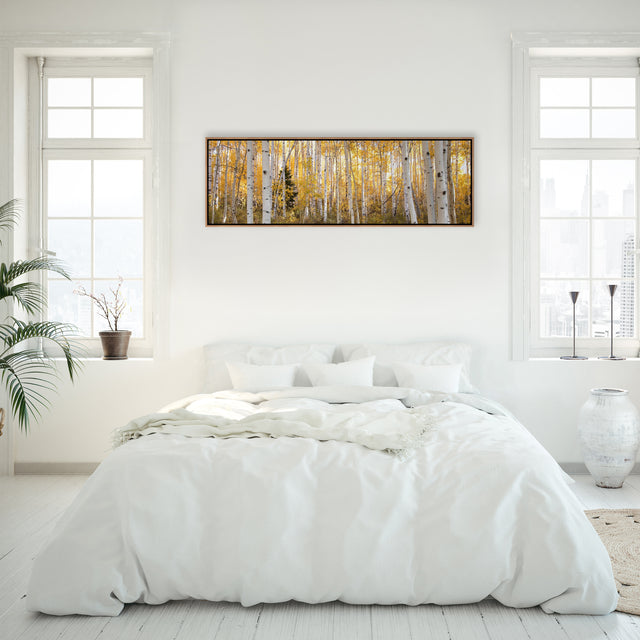 Little Pine Panorama by Curt & Stacy Howell | stretched canvas wall art