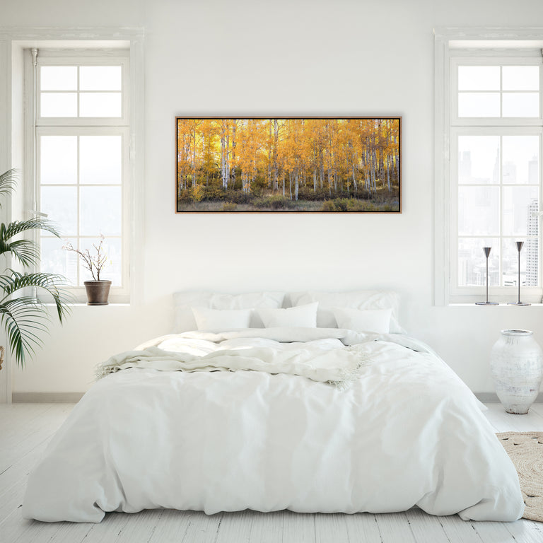 Dreams of Autumn Panorama by Curt & Stacy Howell | stretched canvas wall art