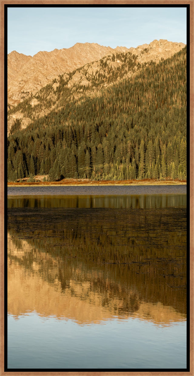 Golden Aspens in Autumn III by Adam Mowery | wall art stretched canvas