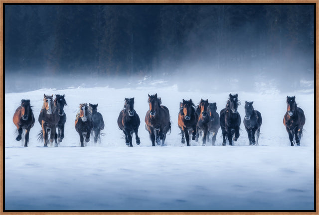 Horses by Lubo Perunko EP | wall art stretched canvas