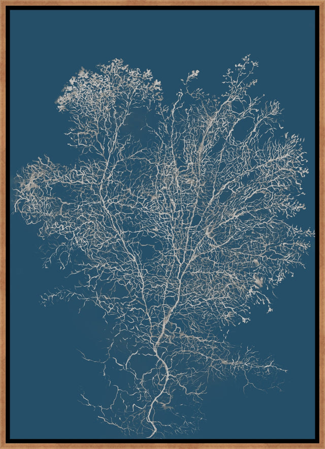 Reef Radiance I by Maelani Blue | wall art stretched canvas