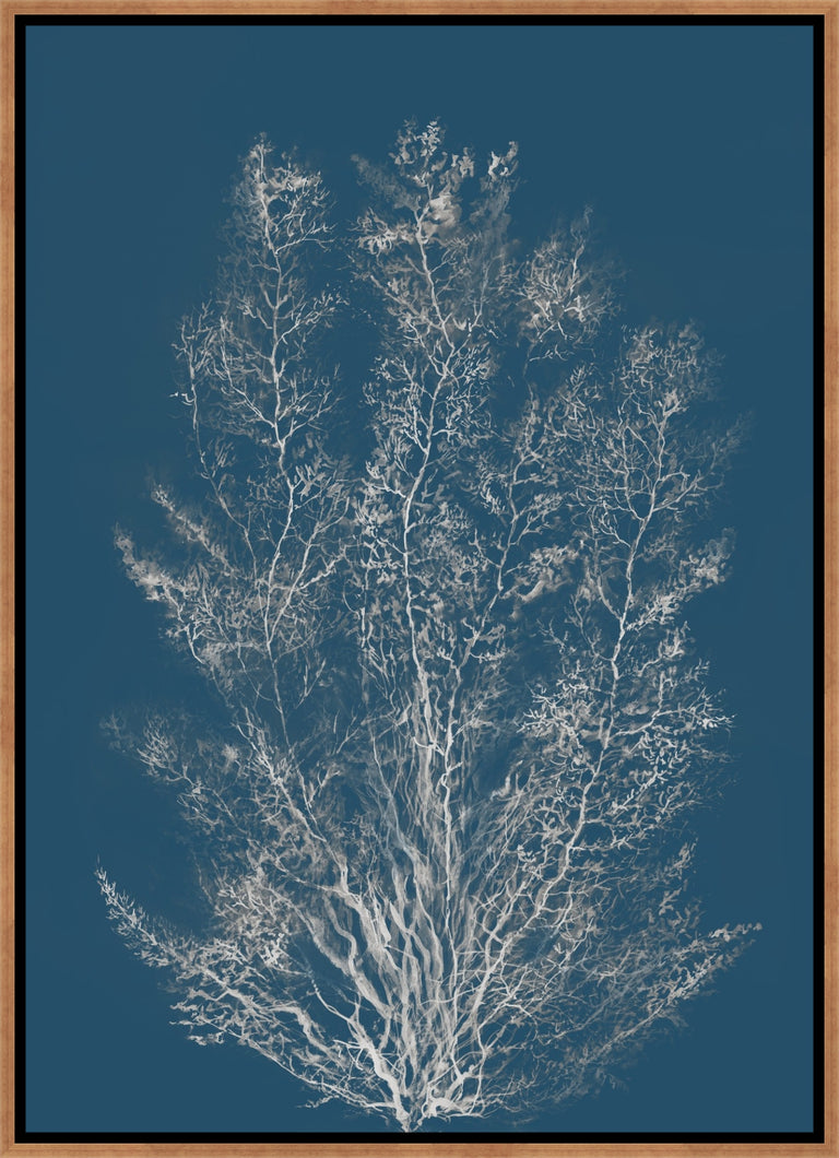 Reef Radiance II by Maelani Blue | wall art stretched canvas