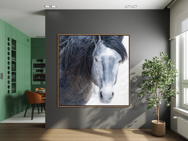 I See You by Susan Lynn Cooke | wall art stretched canvas