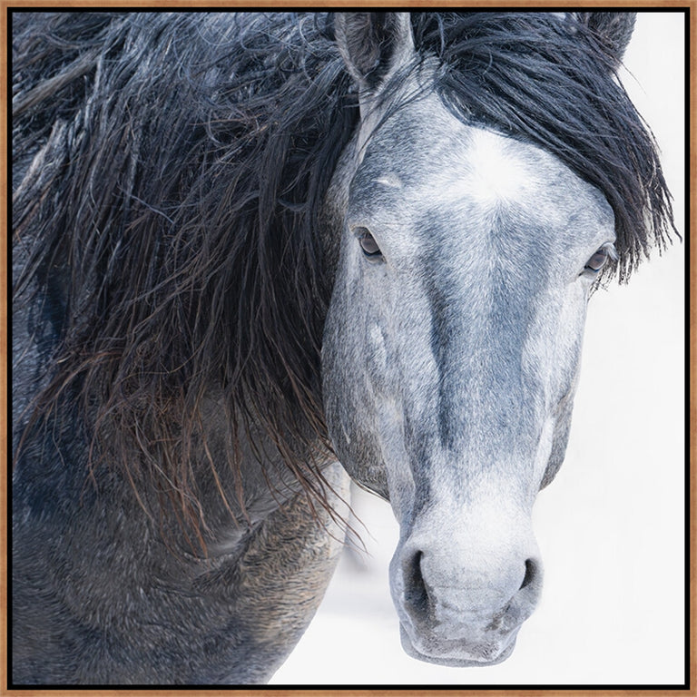 I See You by Susan Lynn Cooke | wall art stretched canvas