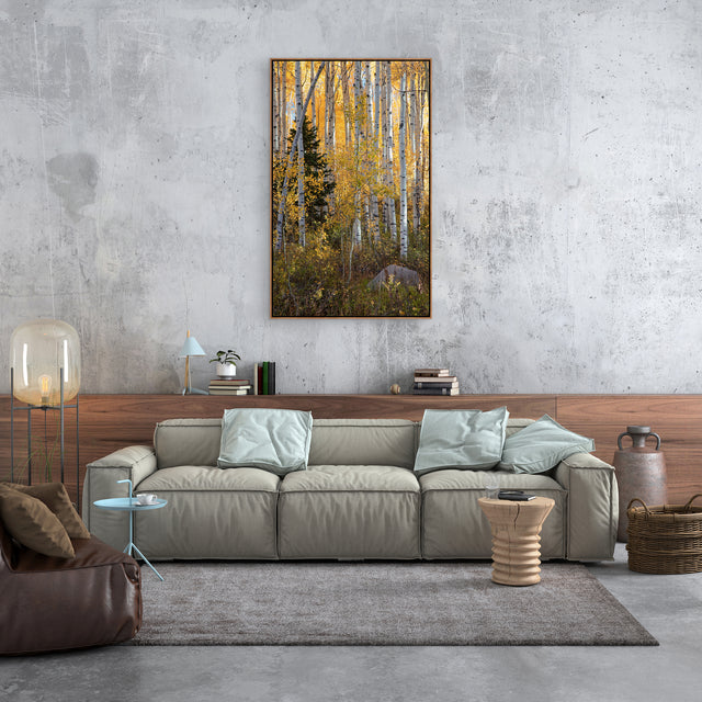 Little Pine Portrait by Curt & Stacy Howell | stretched canvas wall art