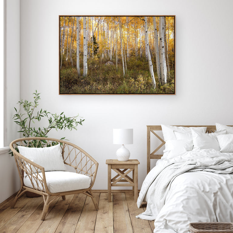 Little Pine by Curt & Stacy Howell | stretched canvas wall art