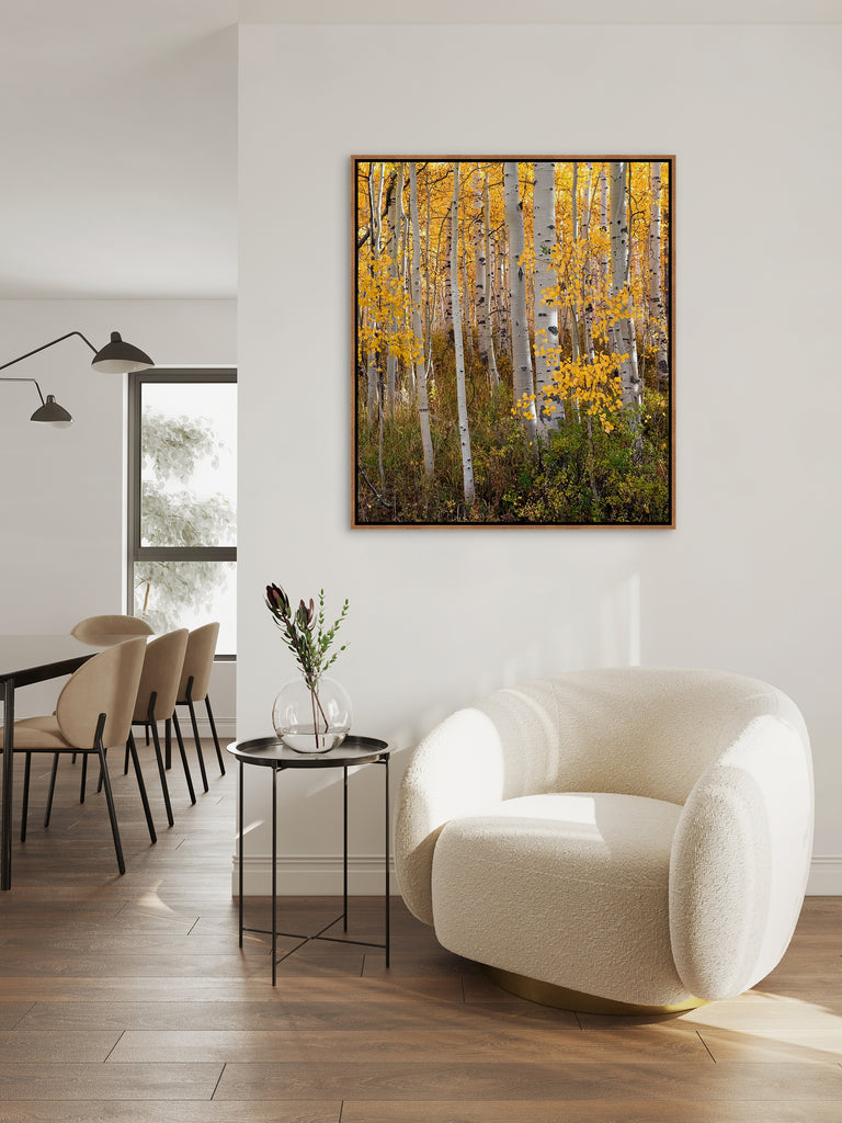 Change of the Season by Curt & Stacy Howell | stretched canvas wall art