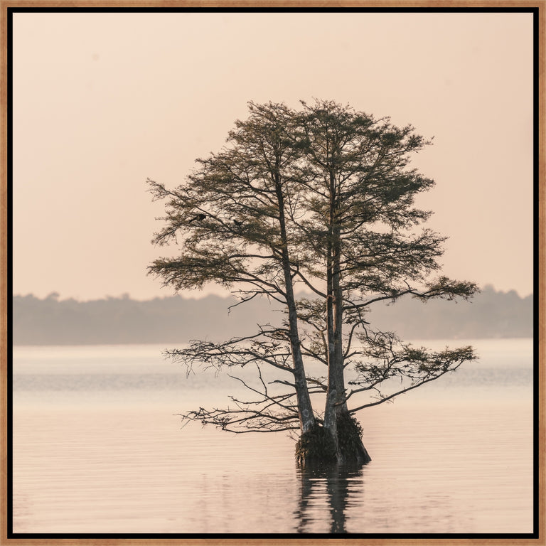 Charleston I by Adam Mowery | wall art stretched canvas