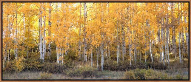 Dreams of Autumn Panorama by Curt & Stacy Howell | stretched canvas wall art